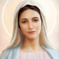 Laminated Rosary Leaflet