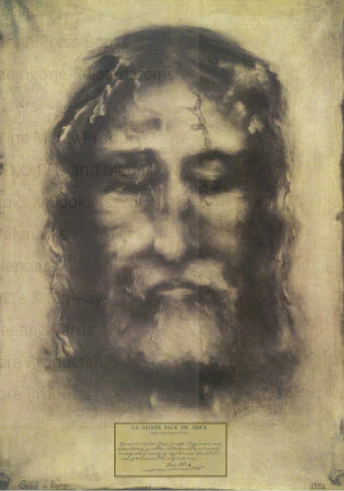 A3 Shroud image