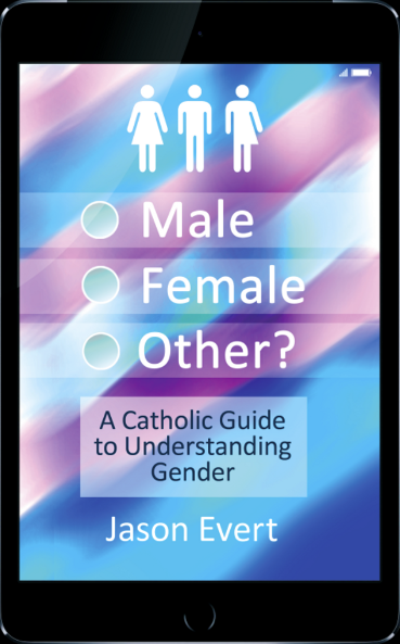 Male, Female, Other?: A Catholic Guide to Understanding Gender