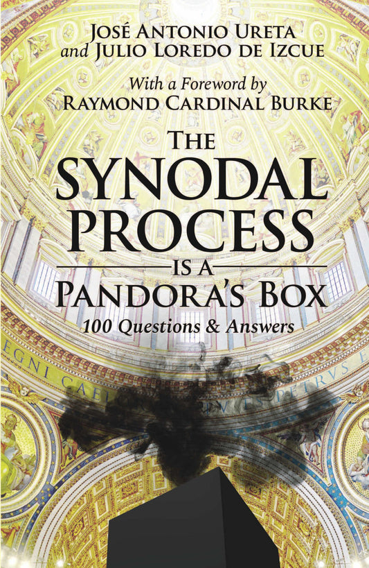 The Synodal Process is a Pandora's Box