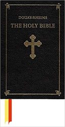 The Douay Rheims Bible (Hardback)