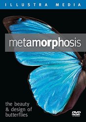 DVD: Metamorphosis - The Beauty and Design of Butterflies