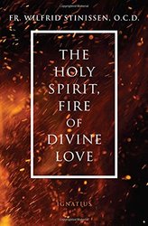 The Holy Spirit Fire of Divine Love