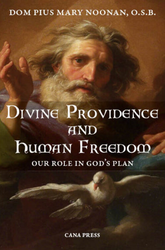 Divine Providence and Human Freedom: Our Role in God's Plan